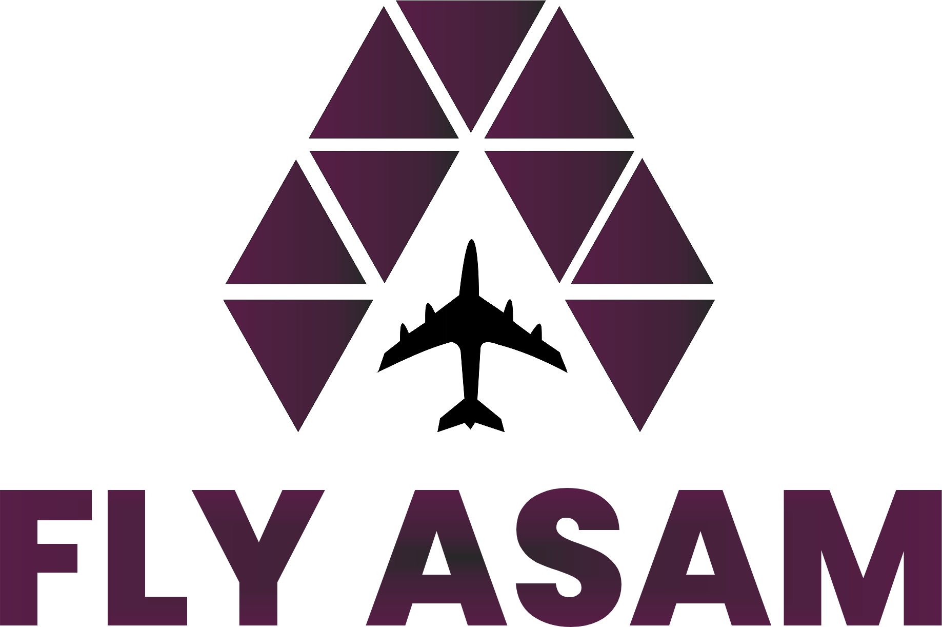 Fly Asam Logo